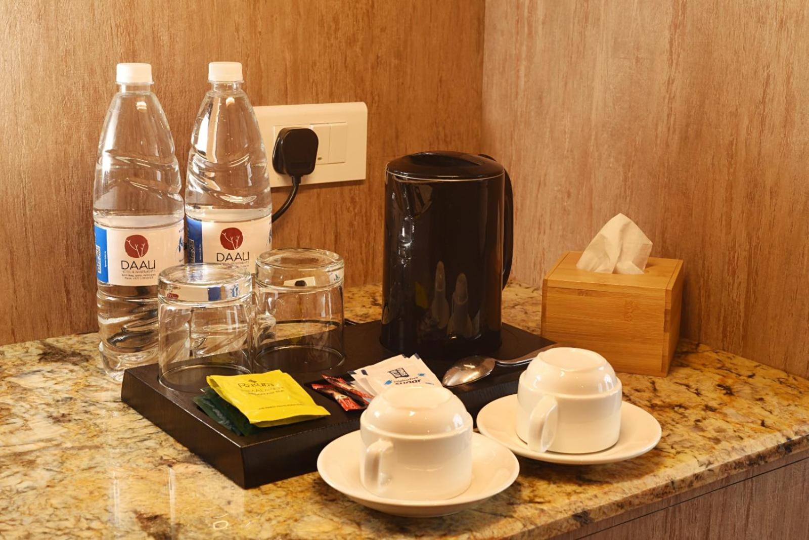 Daali Hotel & Apartment 카트만두 외부 사진